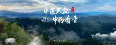 普洱淞*醫(yī)藥集團(tuán)有限公司網(wǎng)站建設(shè)新一代自助建站、智能建站系統(tǒng)